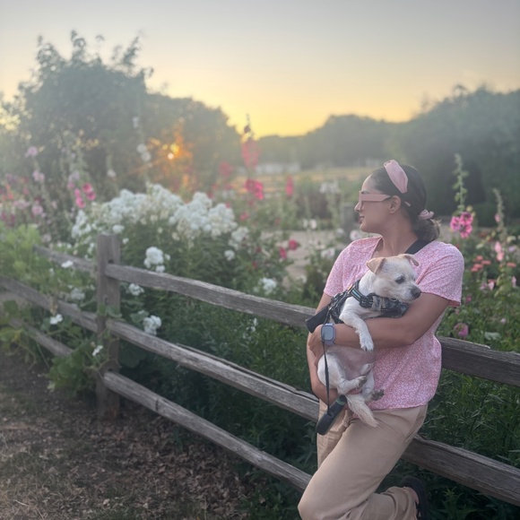 Meet your Posher, Gazelle - Picture 1 of 1